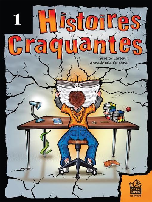 Cover of HISTOIRES CRAQUANTES
